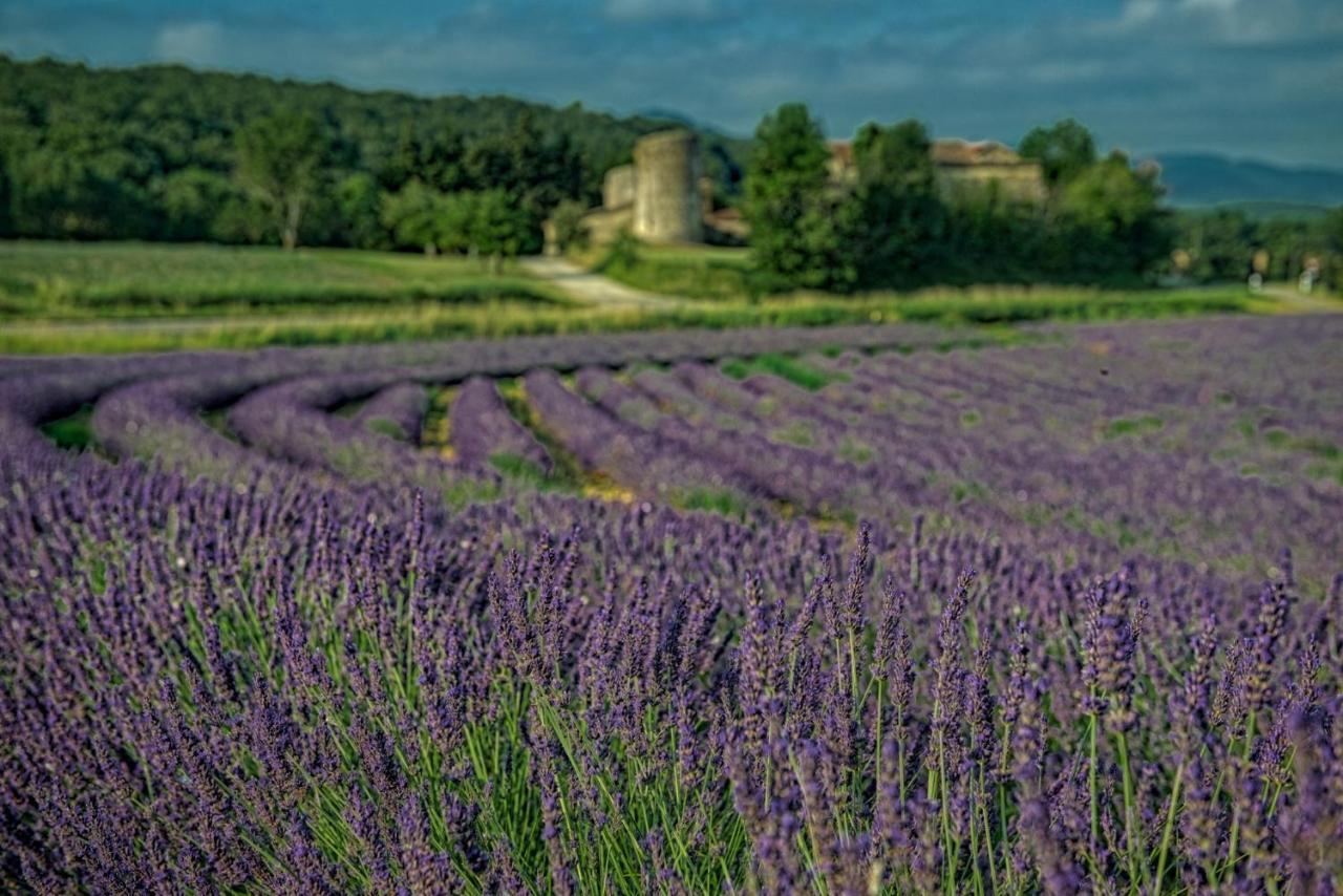 Вилла Les Hirondelles Pont-de-Barret Экстерьер фото